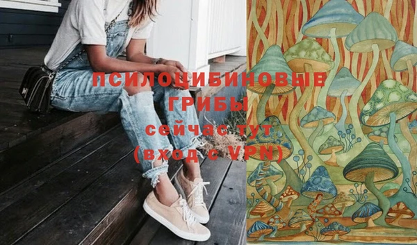 а пвп мука Алексеевка