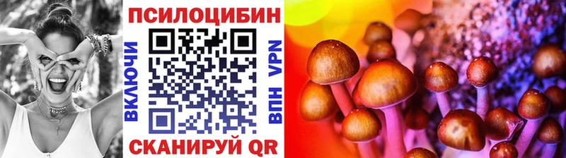 Псилоцибиновые грибы Psilocybine cubensis  blacksprut онион  Кизел 